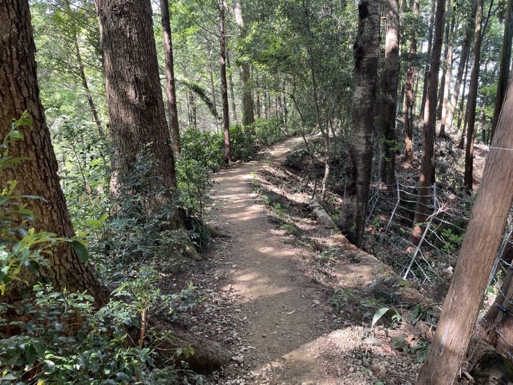 下山道