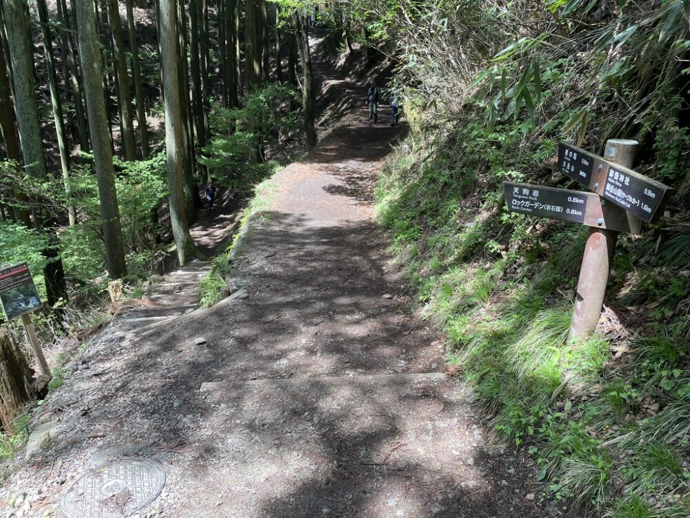 登山道