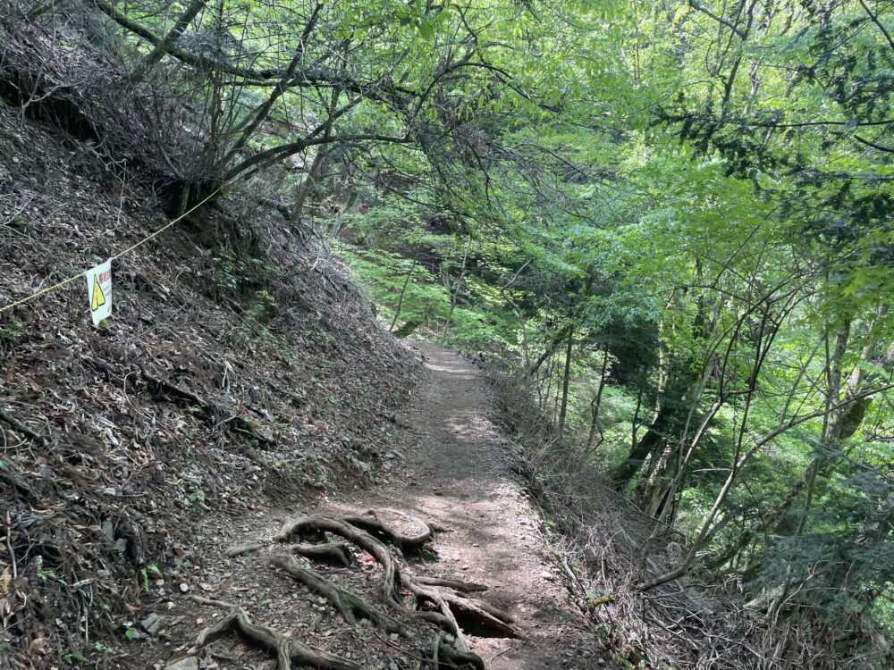 下山道