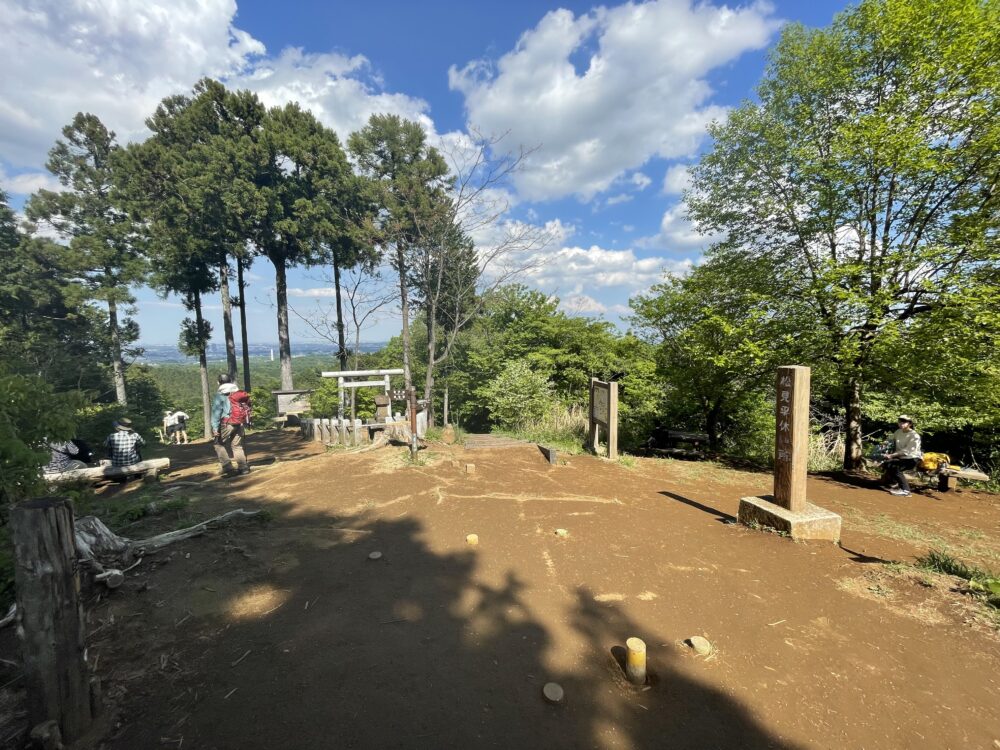 草戸山 全体