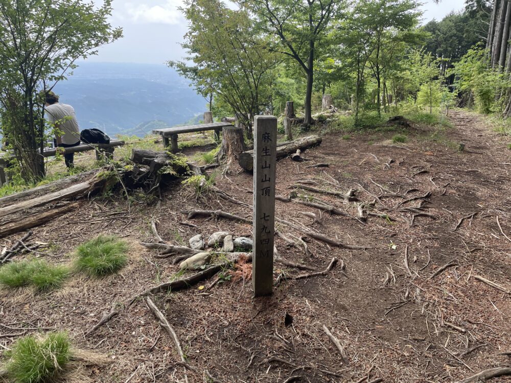 麻生山