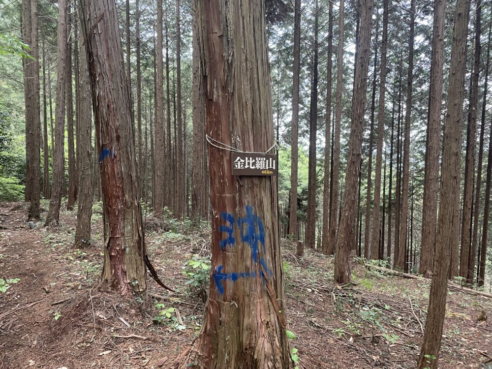 金比羅山