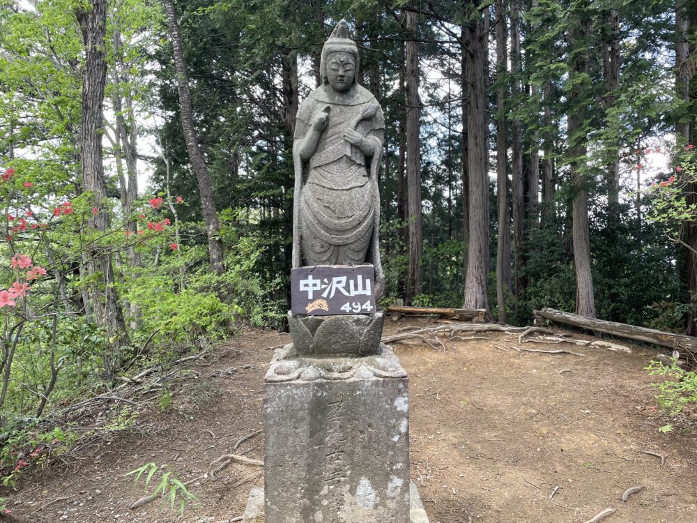 中沢山