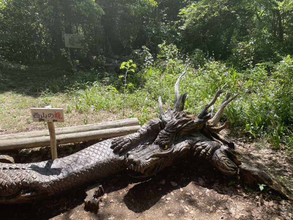 西山峠 西山の龍