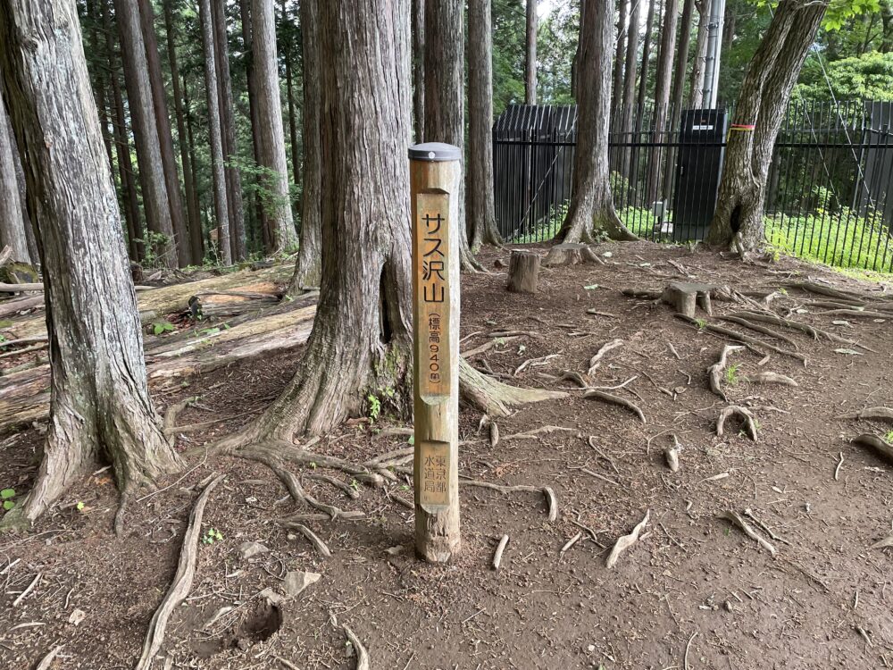 指沢山