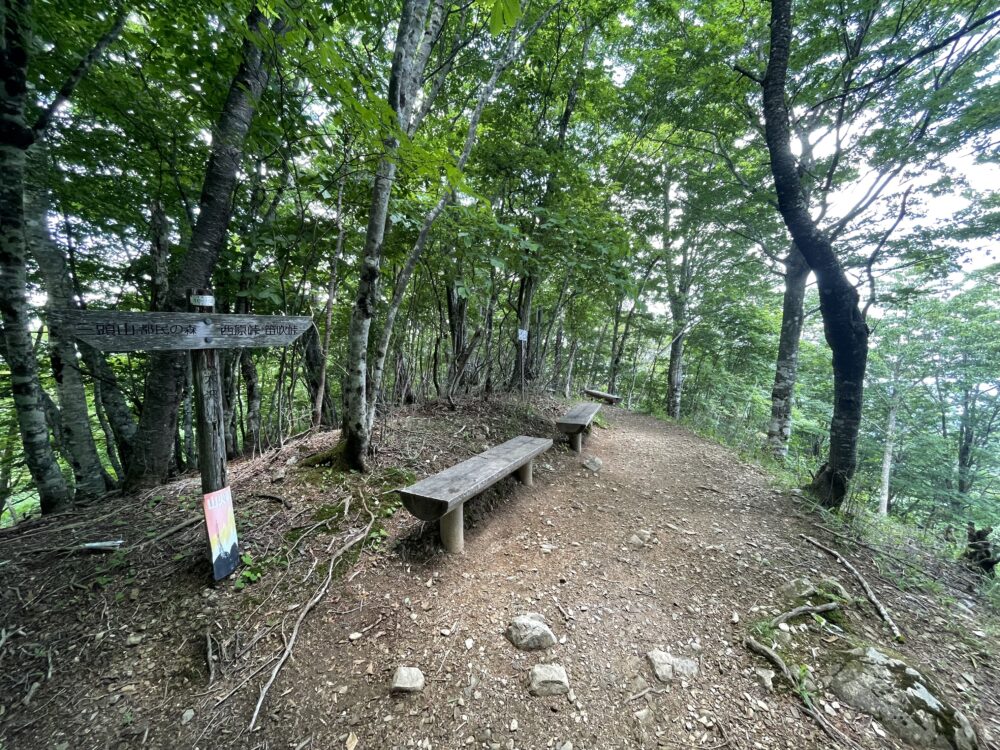 大沢山