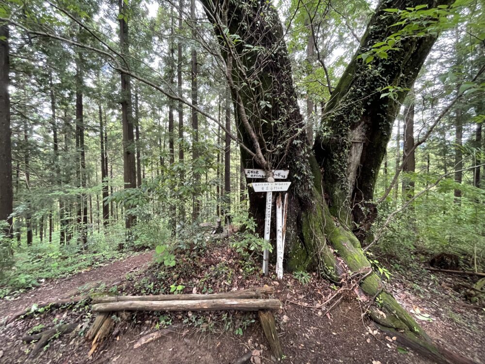 愛宕山