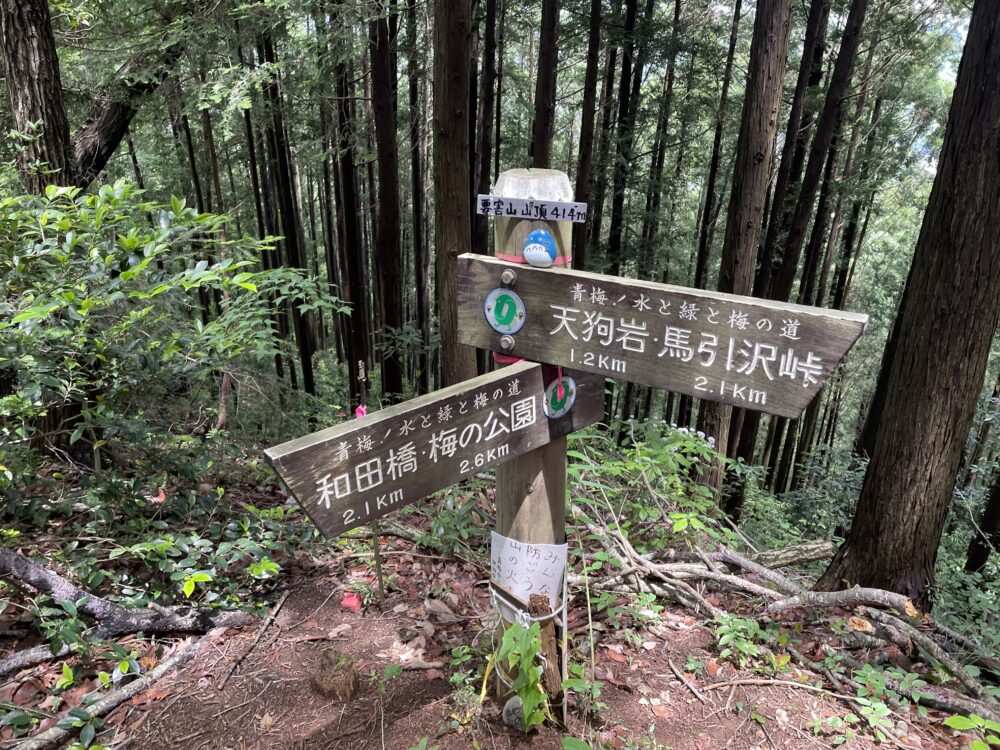 要害山