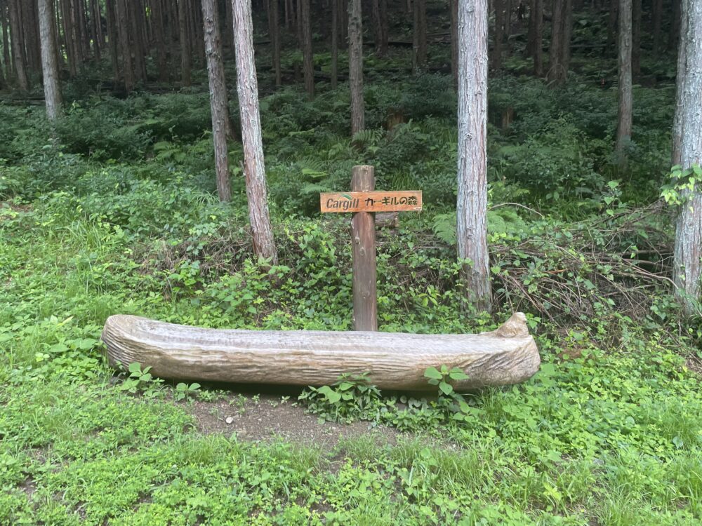 天覚山