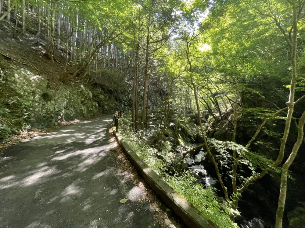 川苔山