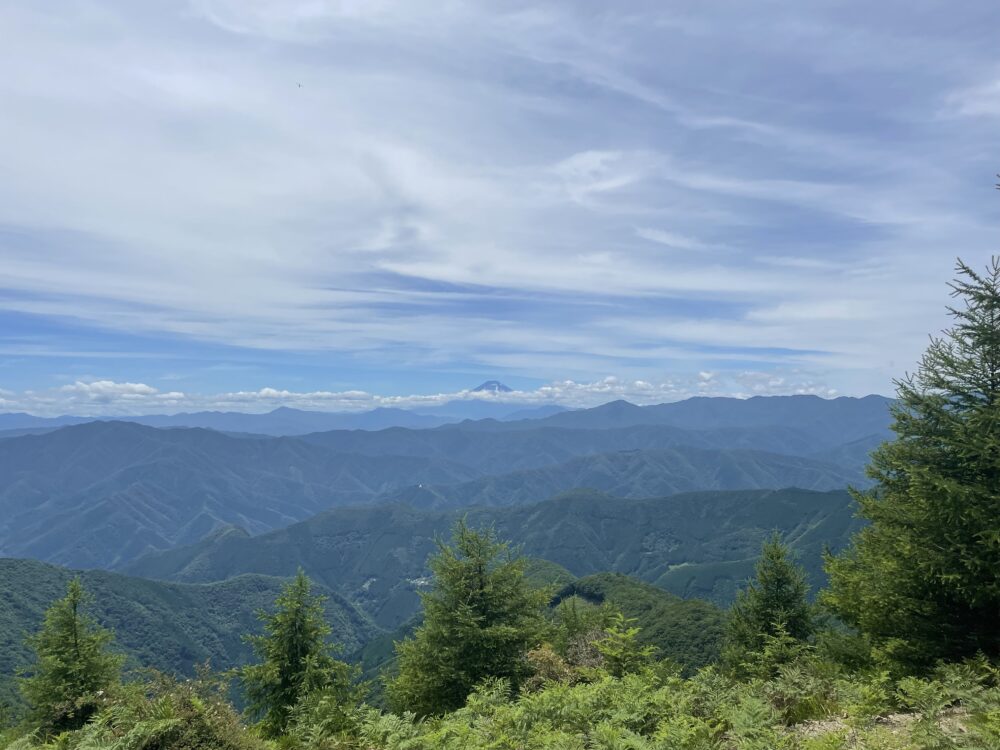 鷹ノ巣山 景色