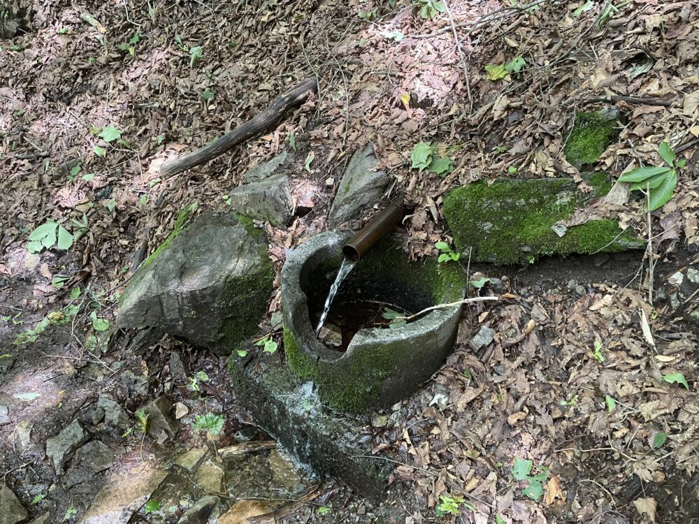 鷹ノ巣山 水場