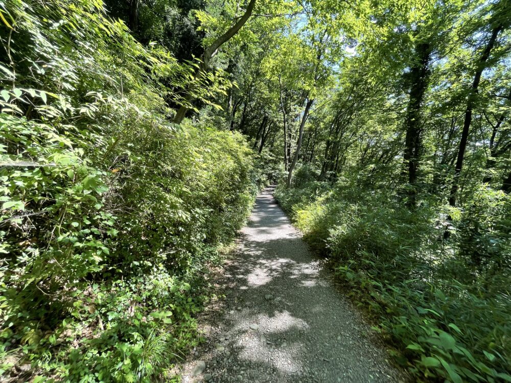 登山道