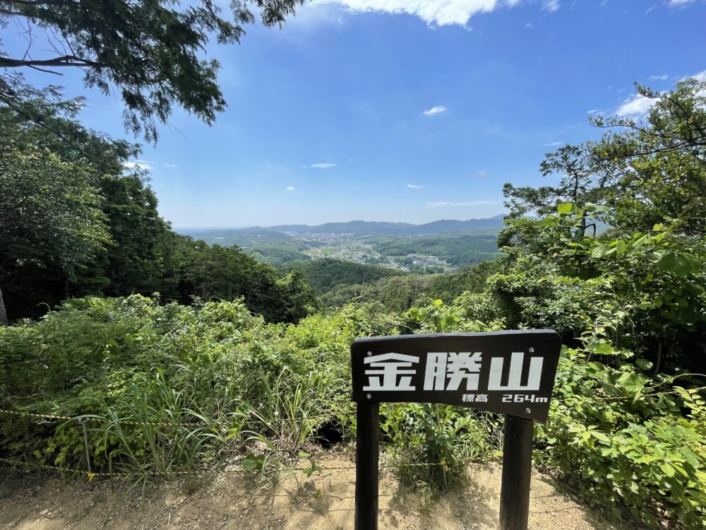 金勝山