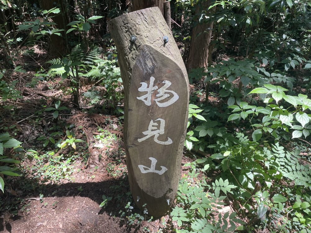 物見山