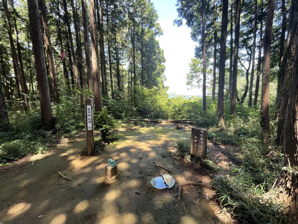 仙元山