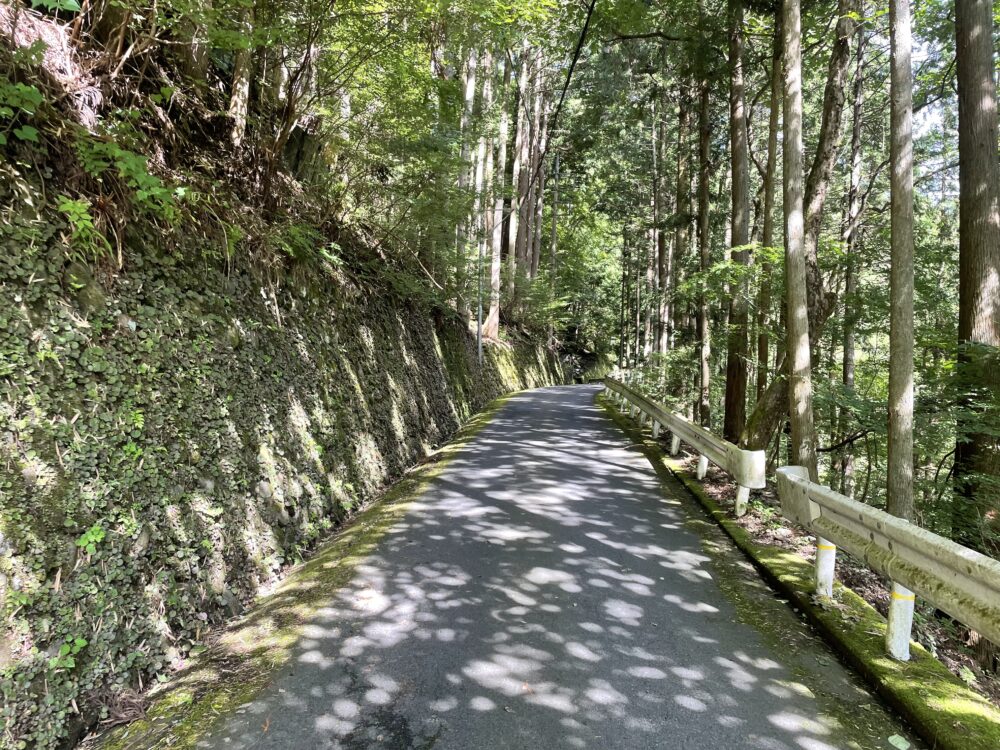鷹ノ巣山