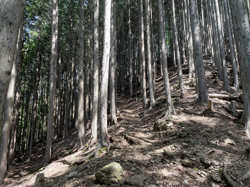 鷹ノ巣山