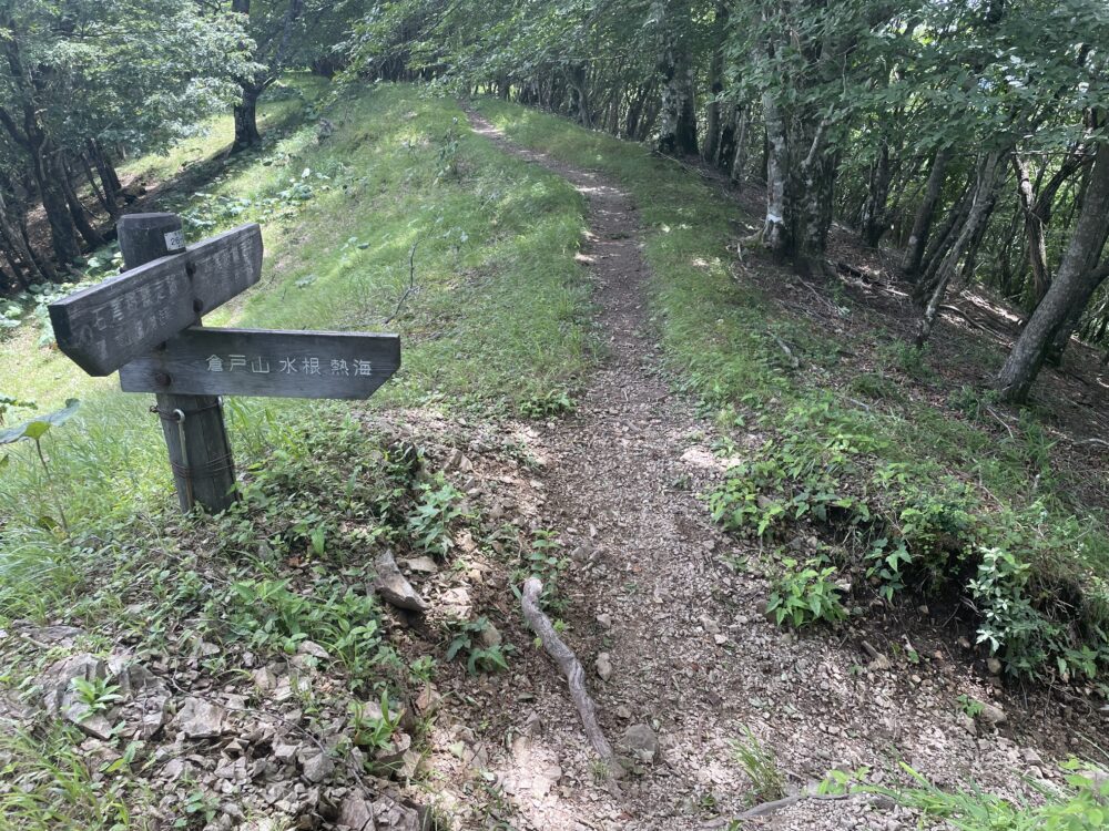 鷹ノ巣山 分岐
