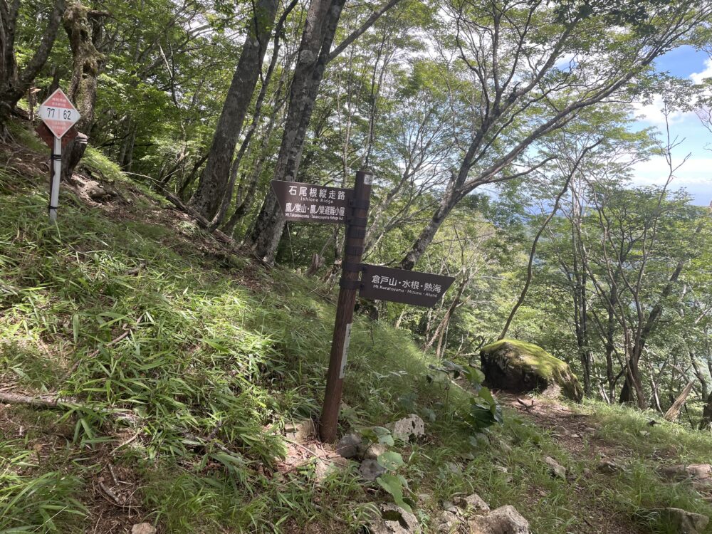 鷹ノ巣山 稲村岩尾根
