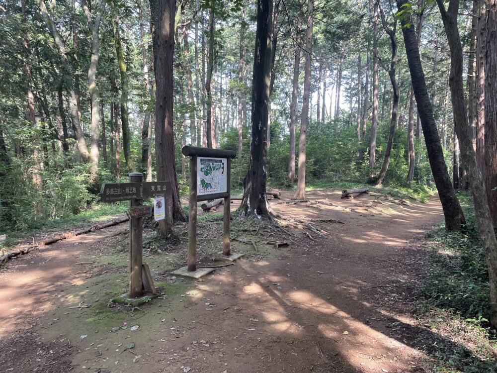 多峯主山 → 天覧山